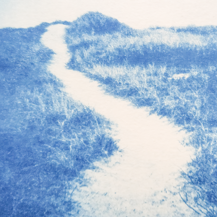S Lawhorne Photography - Brewster detail.png