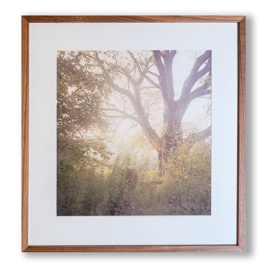 S Lawhorne Photography - Mount Saviour Framedtransparent.png