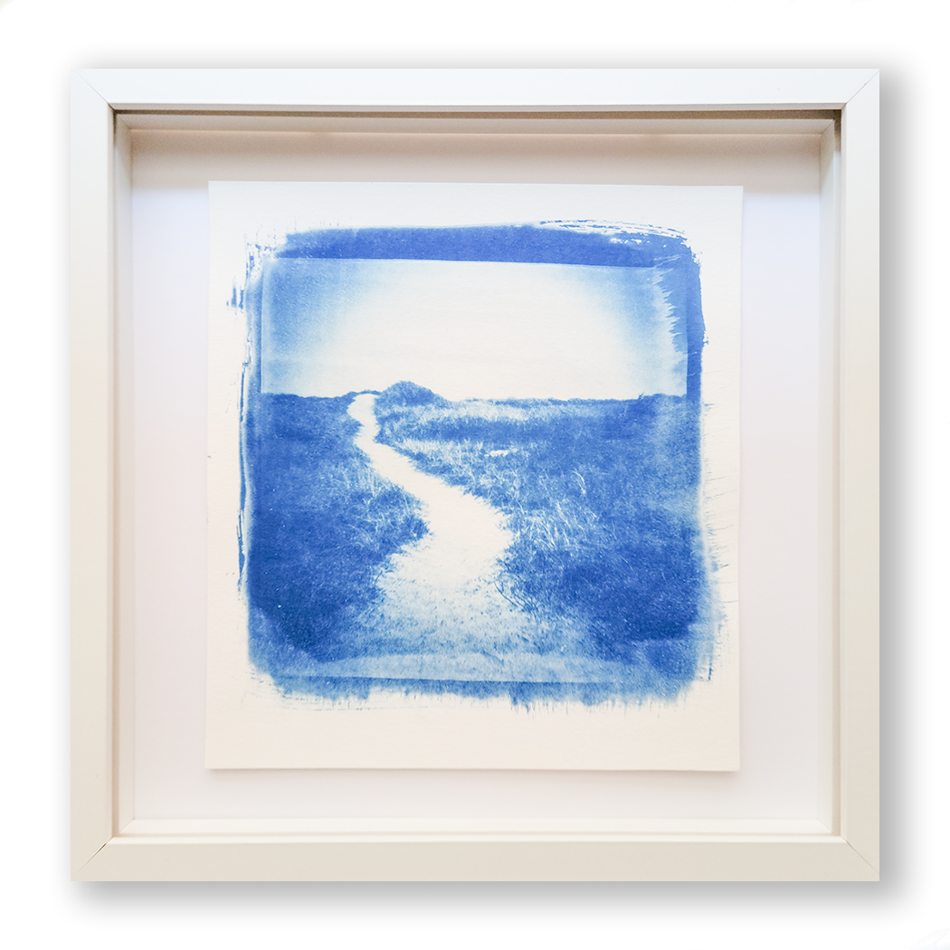 S Lawhorne Photography - Brewster Framed transparent.png