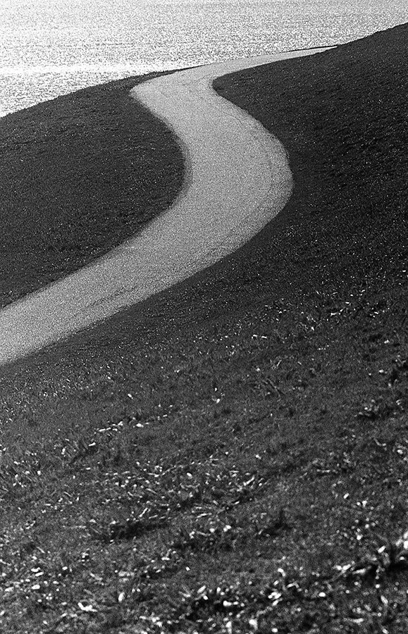 S Lawhorne Photography - Gasworks Park Path.jpg