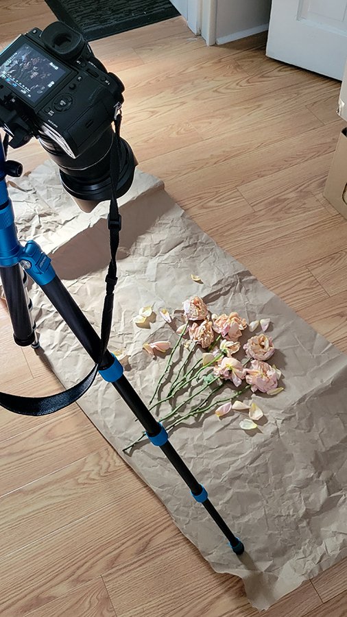 S Lawhorne Photography - BTS Still Life Setup Roses.jpg