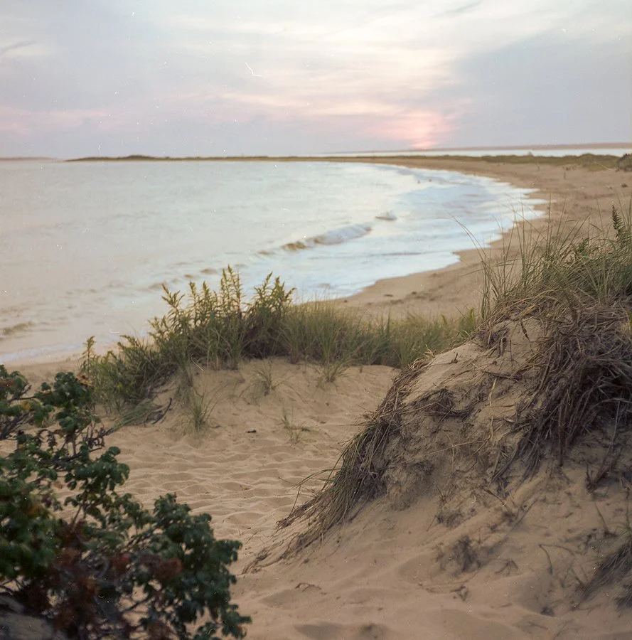 Test Rolls: Kodak Portra 400 Film Review