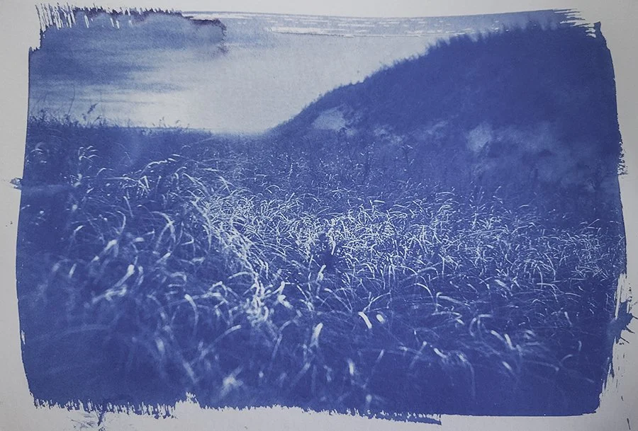 S Lawhorne Photography | cyanotype-dunes-horseneck-beach-westport-grasses.jpg