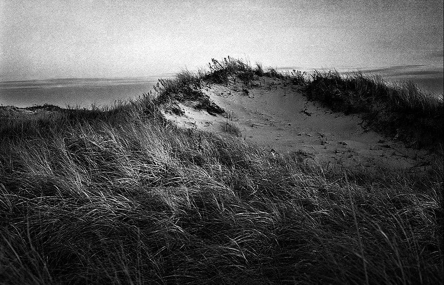 a black and white photograph of the dunes at horseneck beach during golden hour