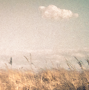 S Lawhorne Photography - Napatree Point Detail.png