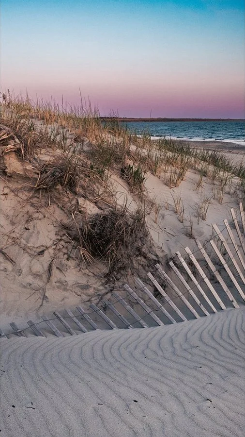 S Lawhorne Photography | second-beach-dune-fence-at-sunset-middletown-ri - Copy.jpg
