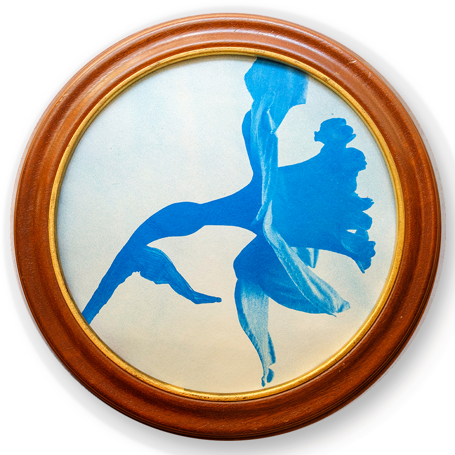 S Lawhorne Photography - Daffodil Framed transparent.png