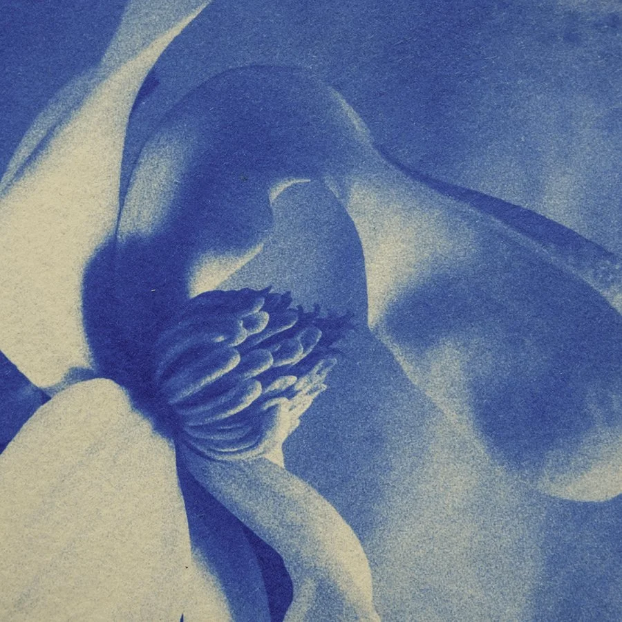 S Lawhorne Photography - Magnolia Detail.jpg