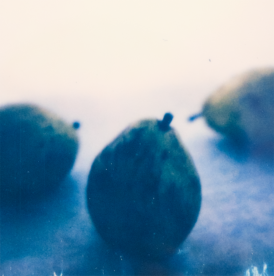 S Lawhorne Photography - pear trio v detail.png