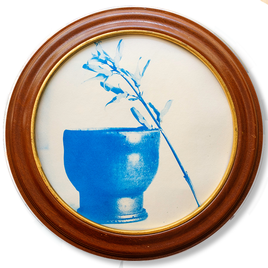 S Lawhorne Photography - Forsythia Framed transparent.png