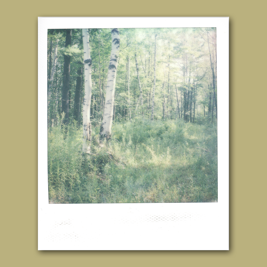 Quiet Light • Original Polaroid