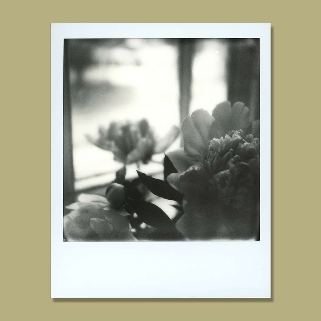 Bouquet Poem I • Original Polaroid