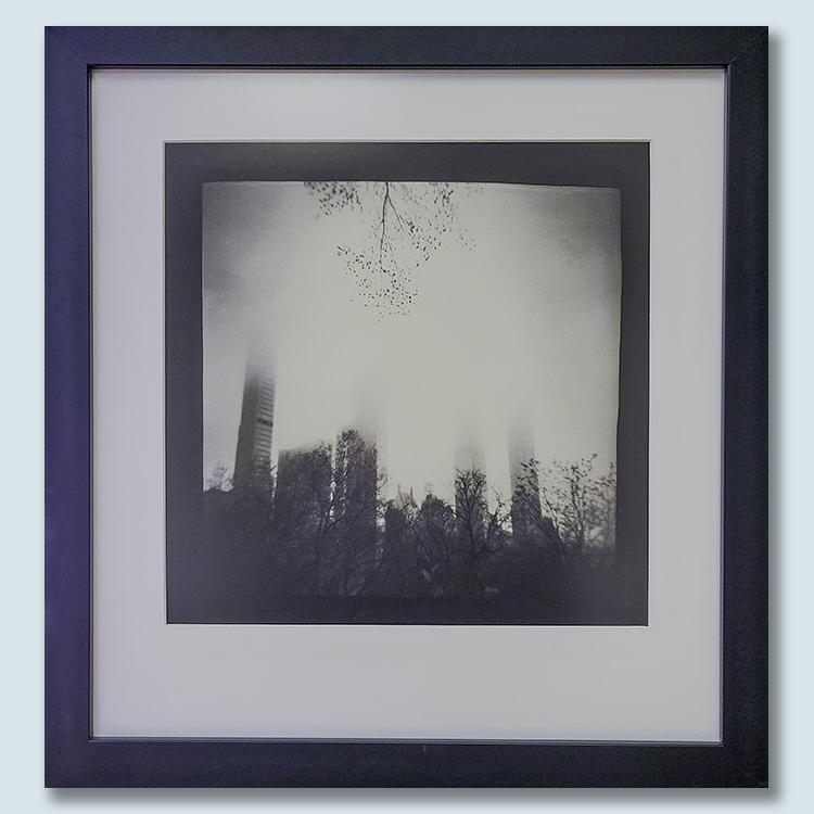 S Lawhorne Photography - NYC Zen Framed.png
