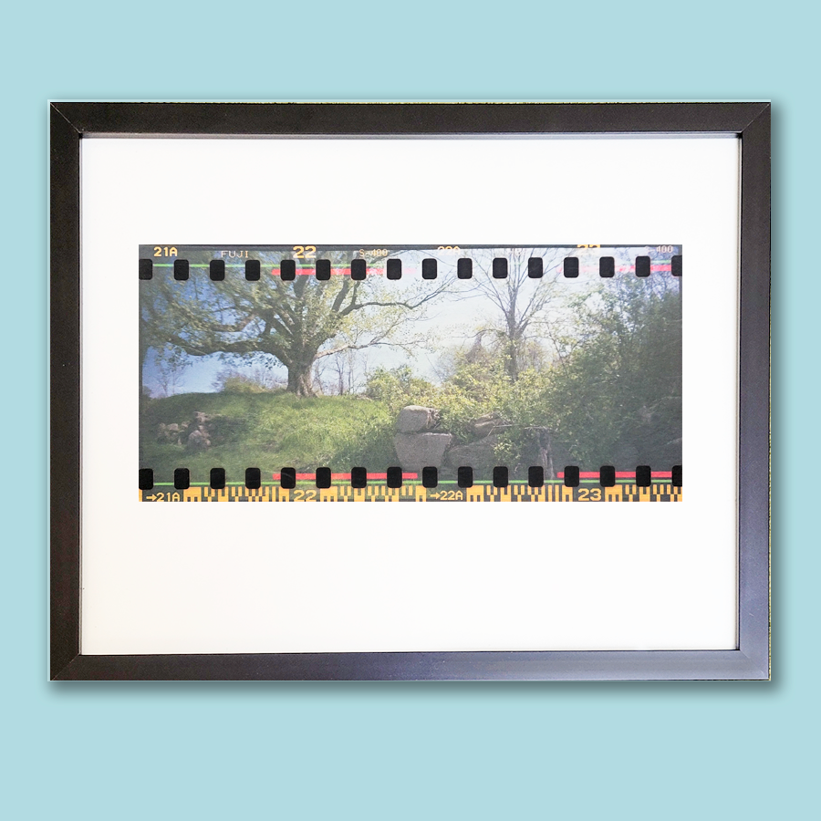 S Lawhorne Photography - Unnoticed Pano Framed.png