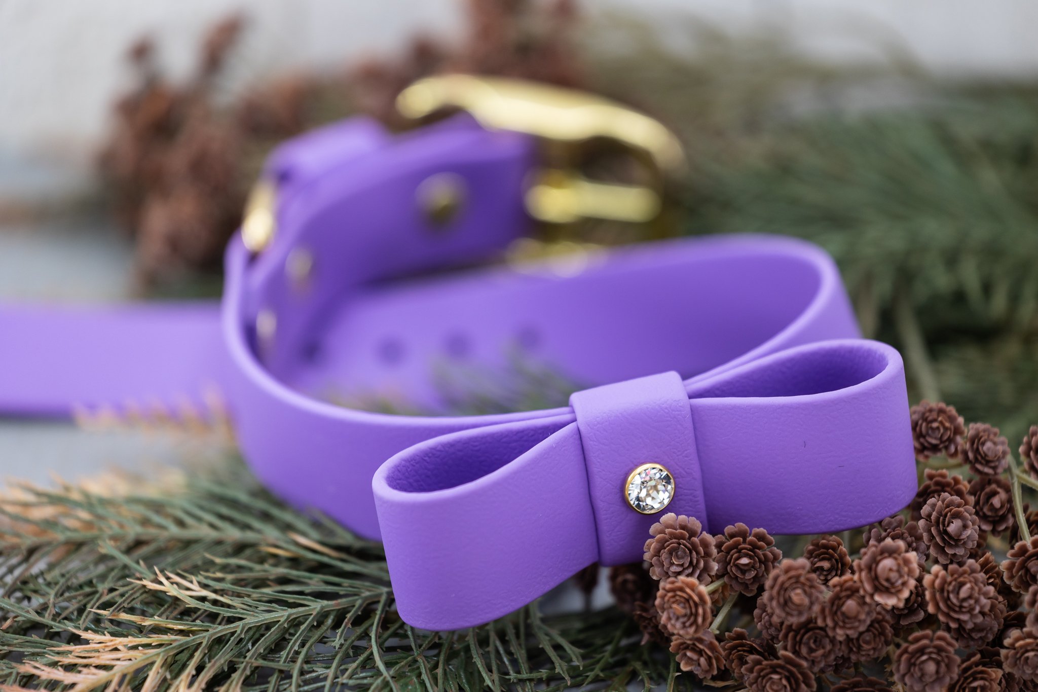Add an Accent Layer | Custom Biothane Collar Upgrade — Oliver & Ash Designs