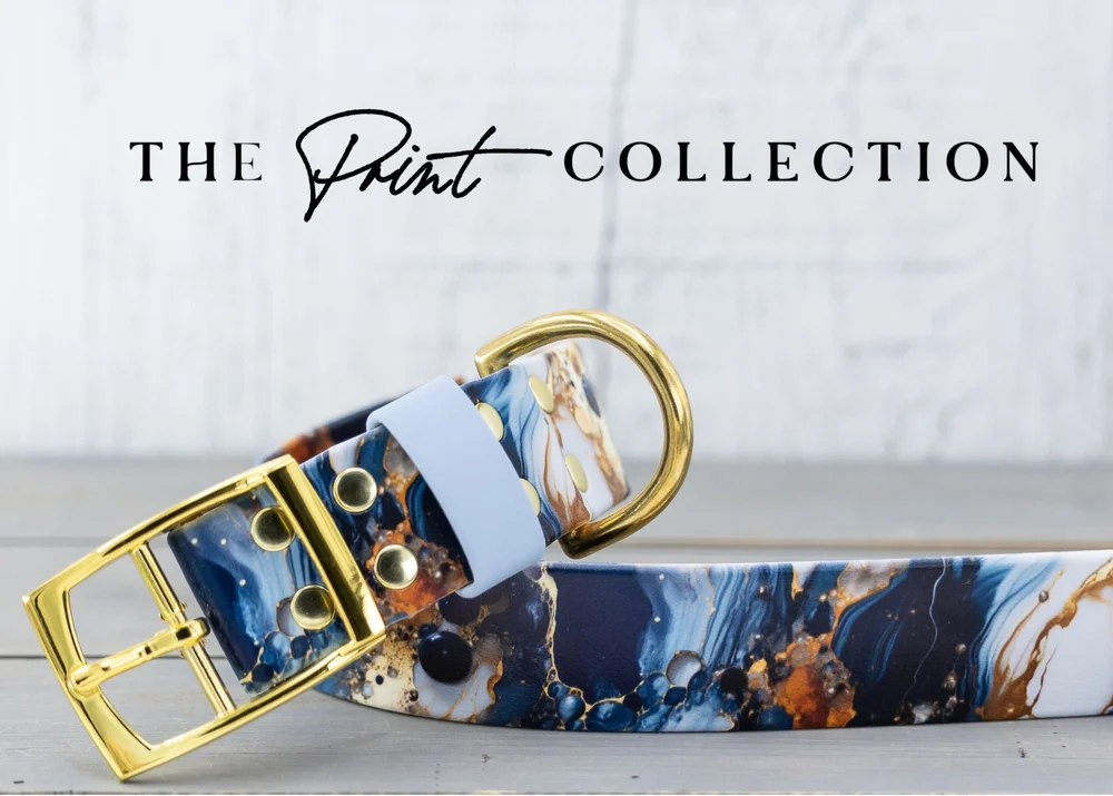 Custom Printed Biothane Dog Collar Waterproof Durable — Oliver Ash  Designs