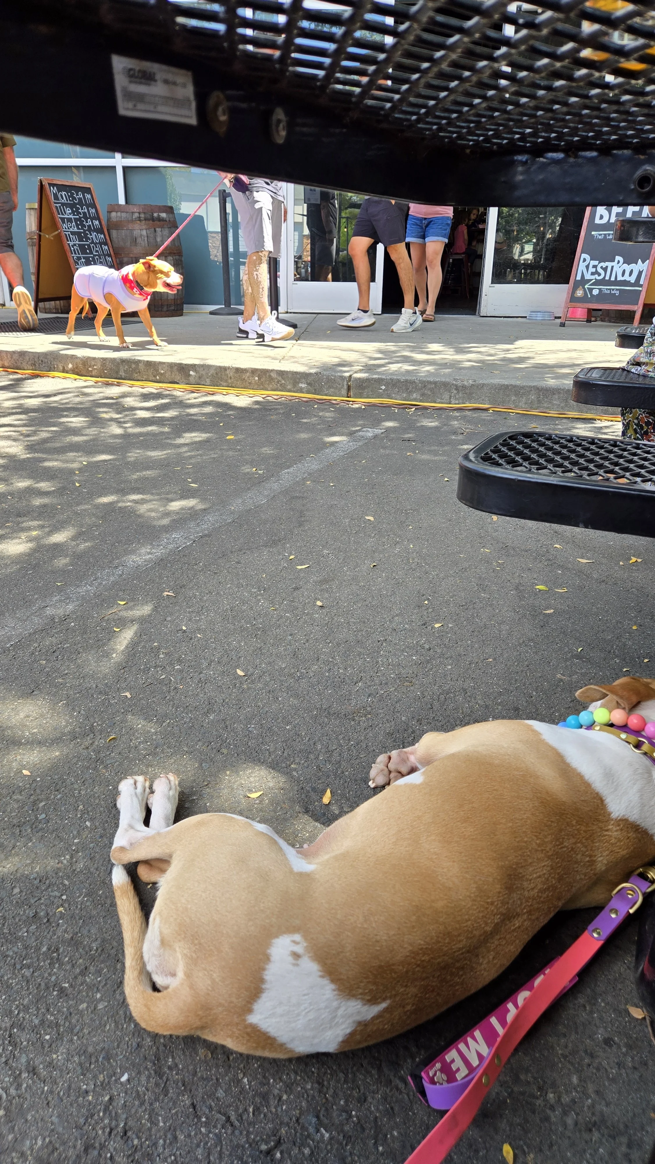 20260823_125209.jpg