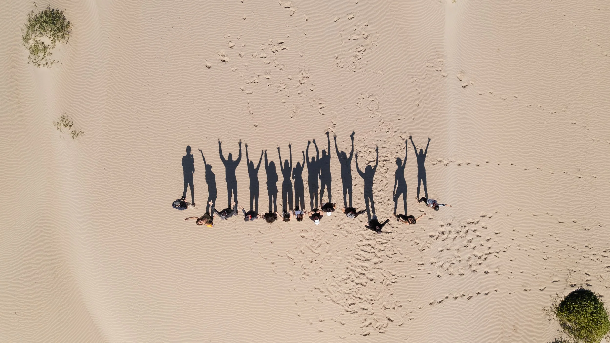 DJI_0331.jpg