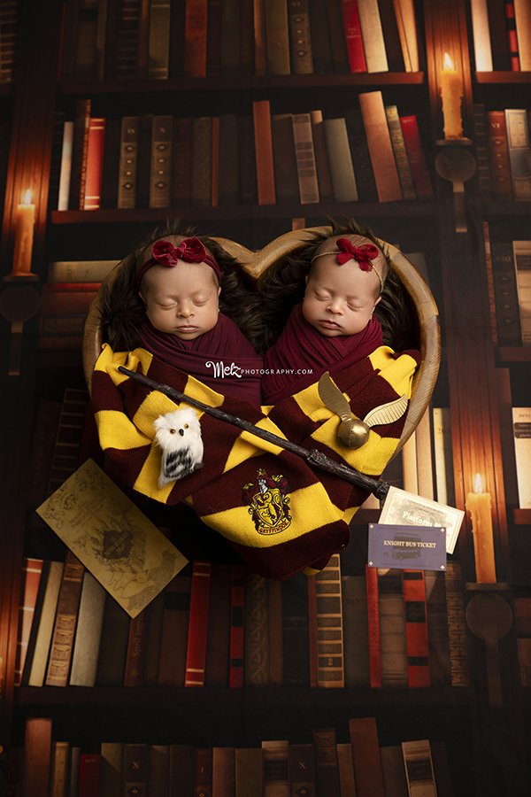 twin-newborn-session-belleville-new-jersey-newborn-photographer-melzphotography-1.jpg