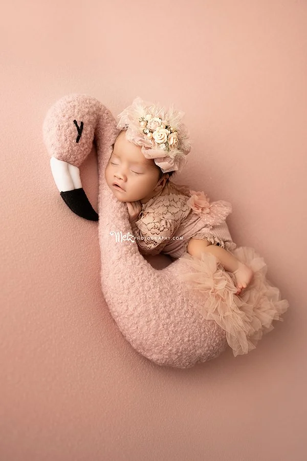 athena-newborn-session-belleville-new-jersey-newborn-photographer-melz-photography-1.jpg