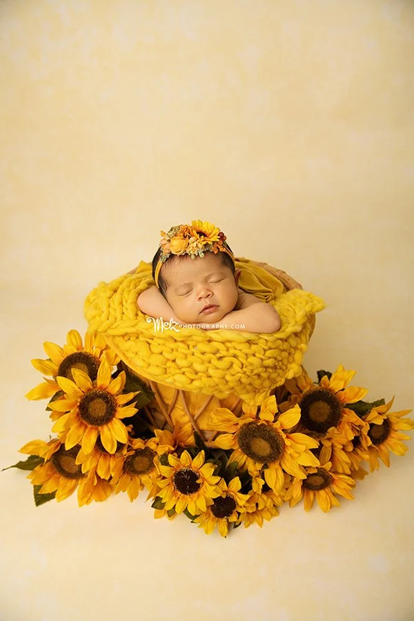 amelia-d-newborn-session-belleville-new-jersey-newborn-photographer-melz-photography-5.jpg