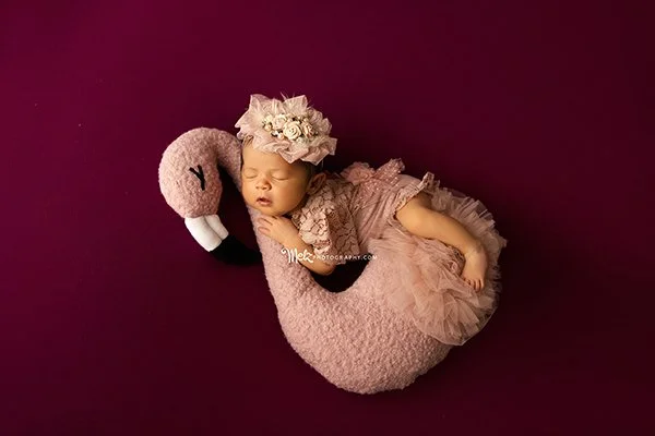 amelia-d-newborn-session-belleville-new-jersey-newborn-photographer-melz-photography-9.jpg