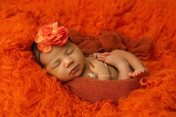 penelope-newborn-session-belleville-new-jersey-newborn-photographer-melz-photography-17.jpg