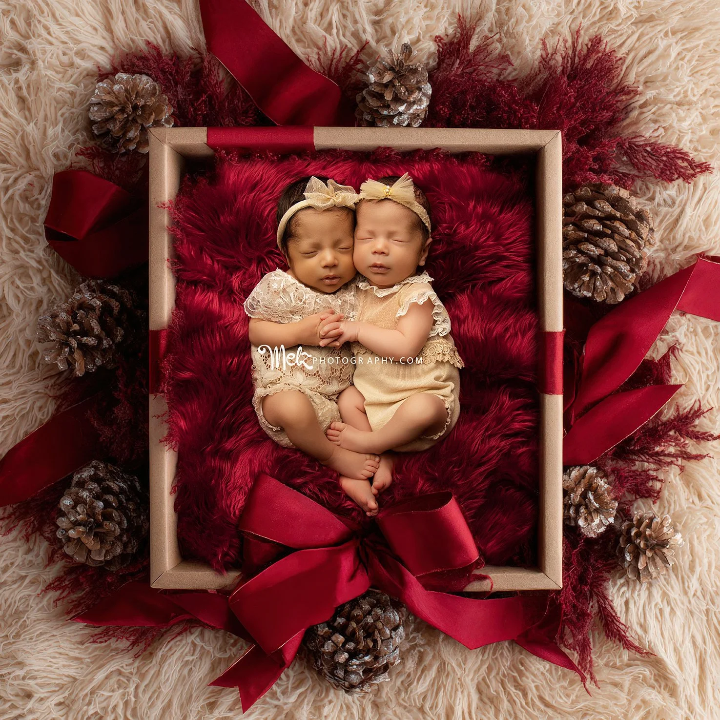 cataleya-sky-catalina-sol-twin-newborn-session-belleville-new-jersey-newborn-photographer-melz-photography-8.jpg
