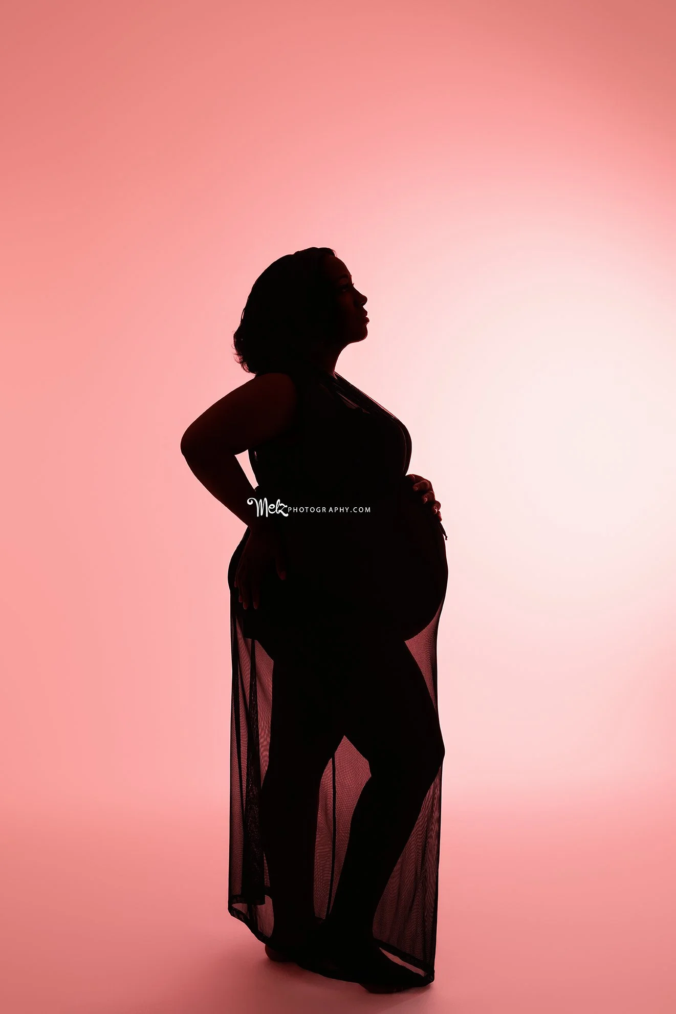 talia-maternity-session-belleville-new-jersey-maternity-photographer-melz-photography-1.jpg