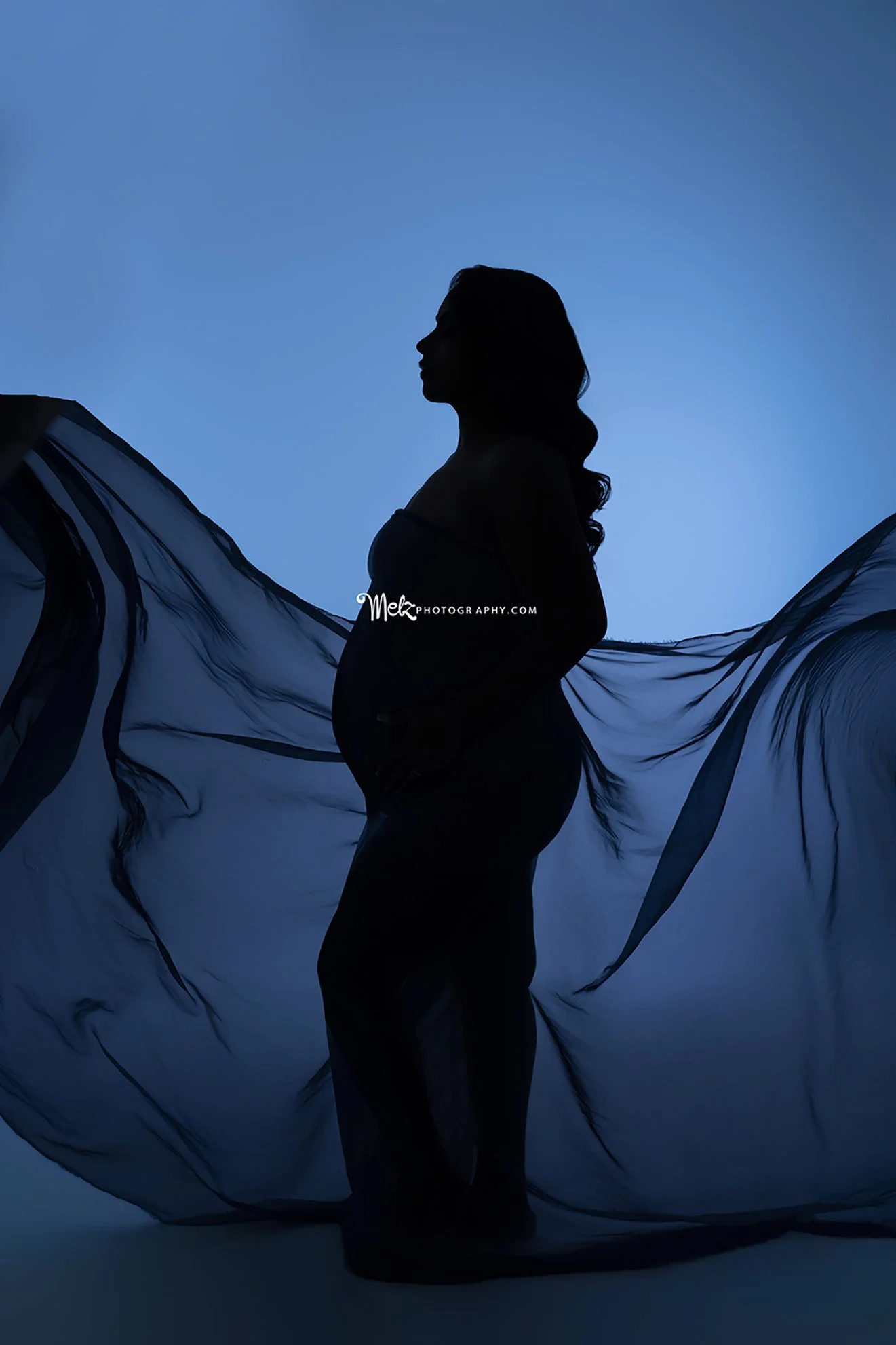 rosely-maternity-session-belleville-new-jersey-maternity-photographer-melz-photography-6.jpg