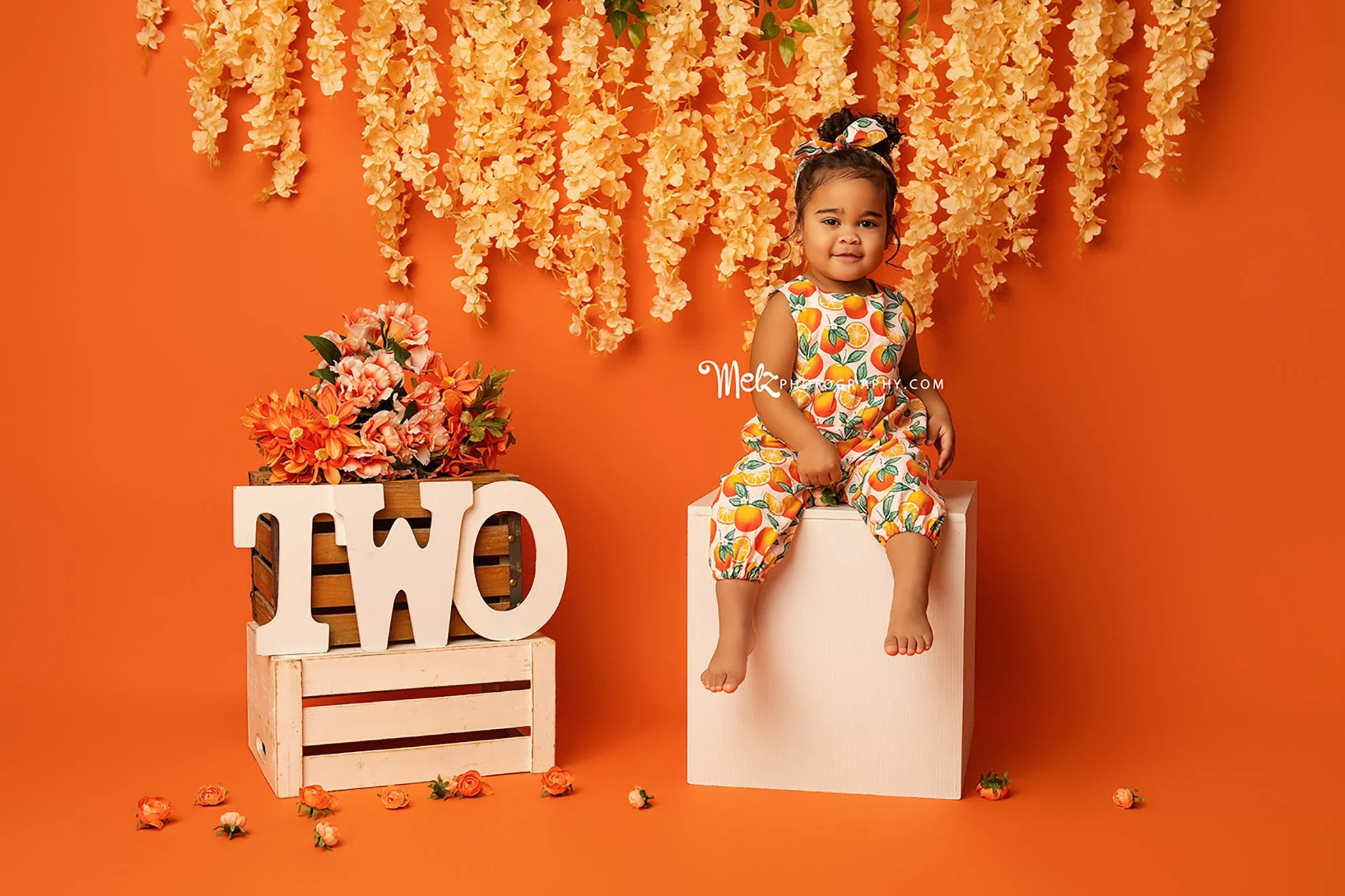 Gia’s 2nd Birthday - Belleville, New Jersey Photographer