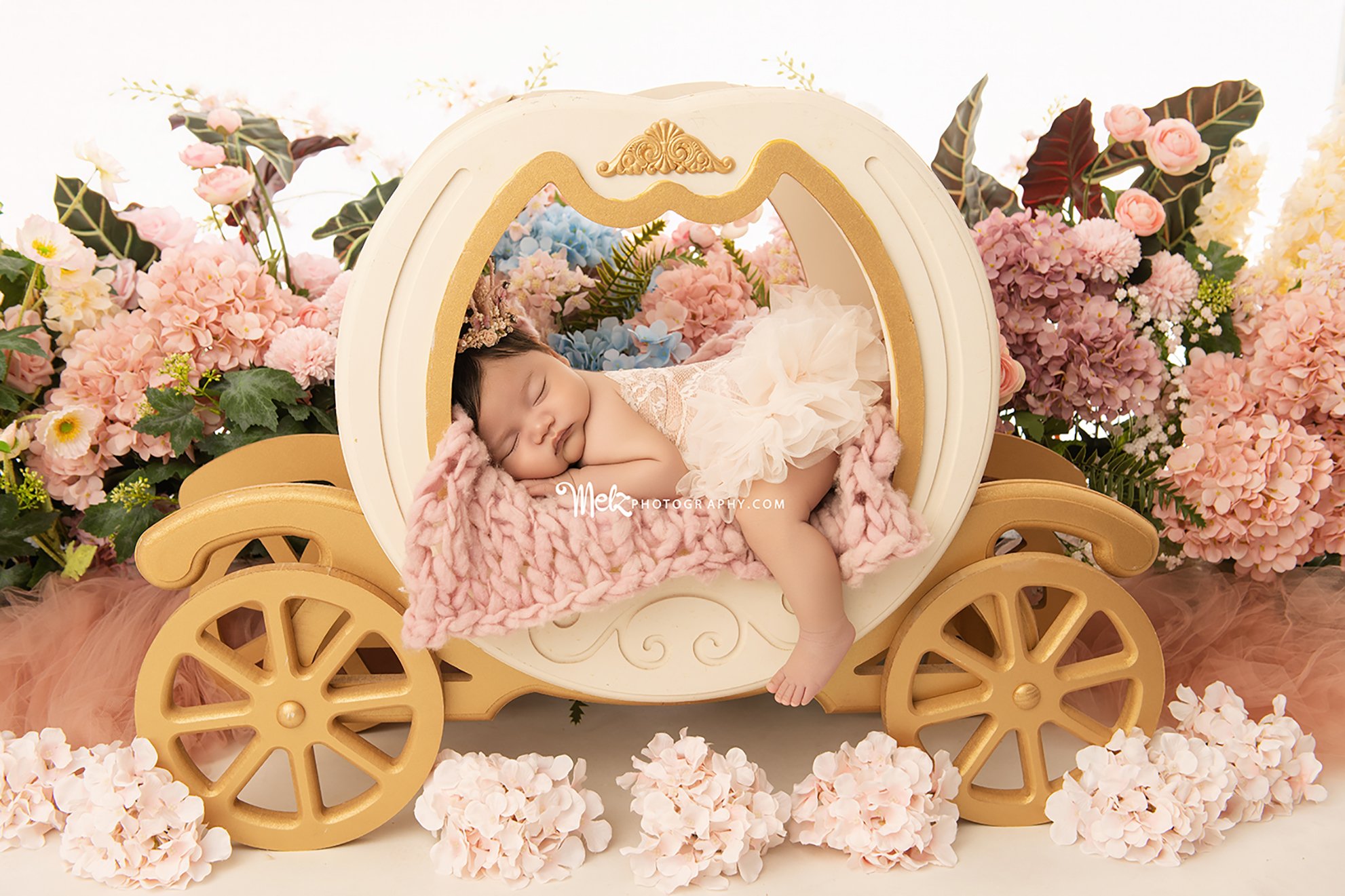 Isabelle’s Newborn Session - Belleville, New Jersey Newborn Photographer 