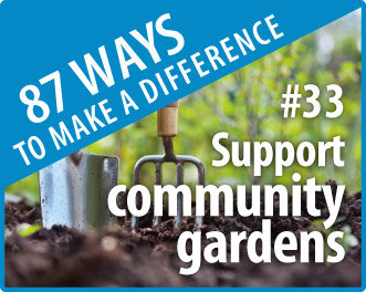 33-CommunGardens.jpg