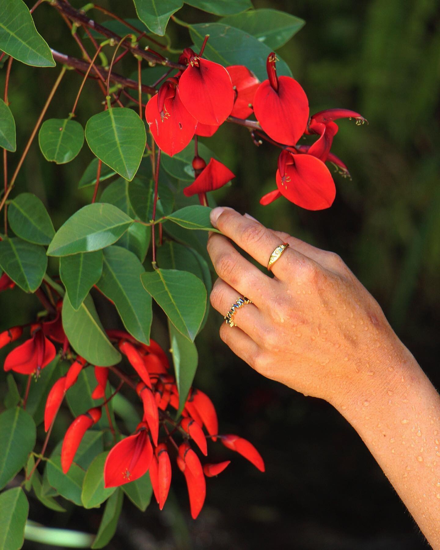 Model : @potyra_schaefer 🌹✨