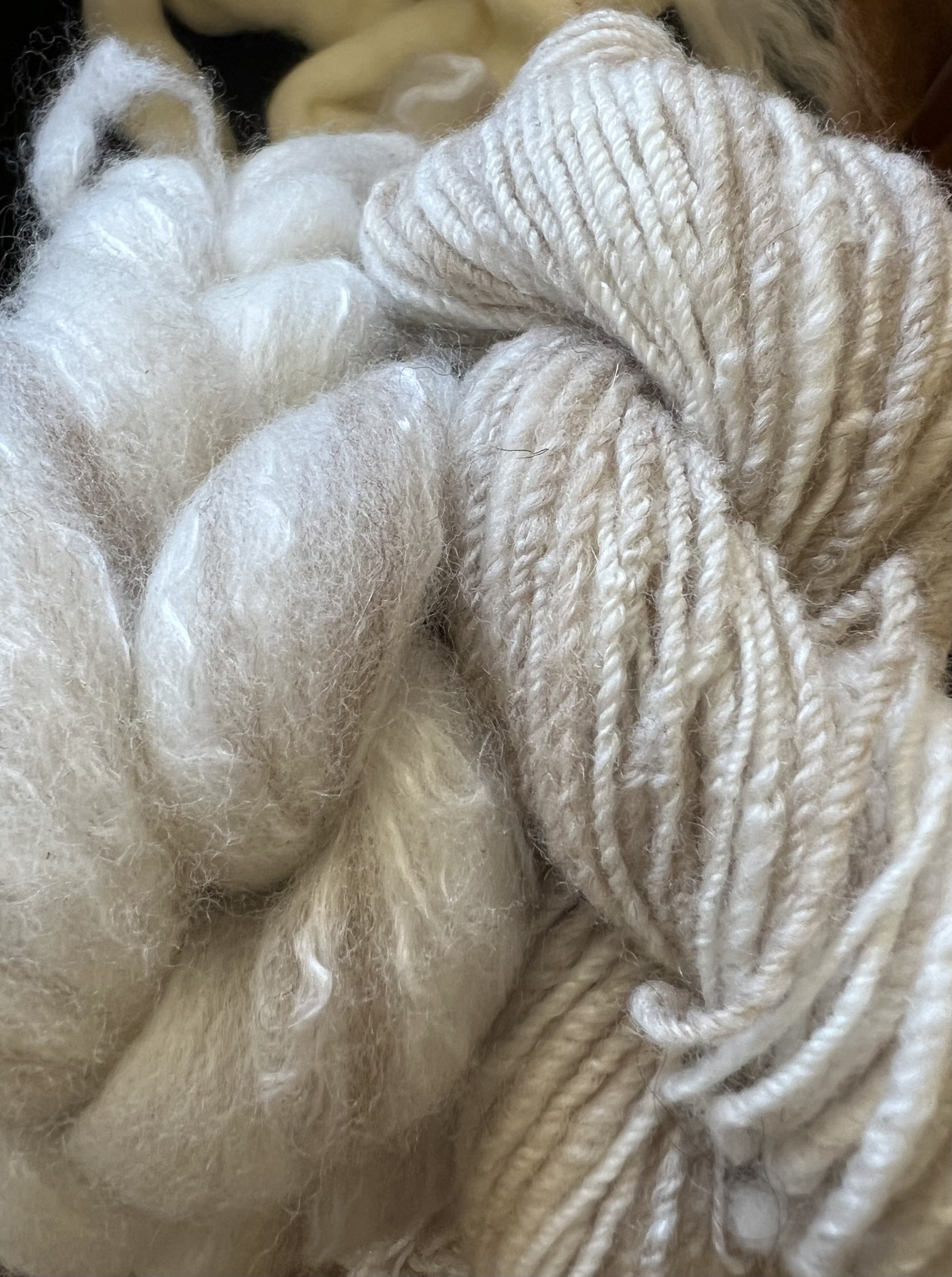 Handweavers & Spinners Guild Auckland