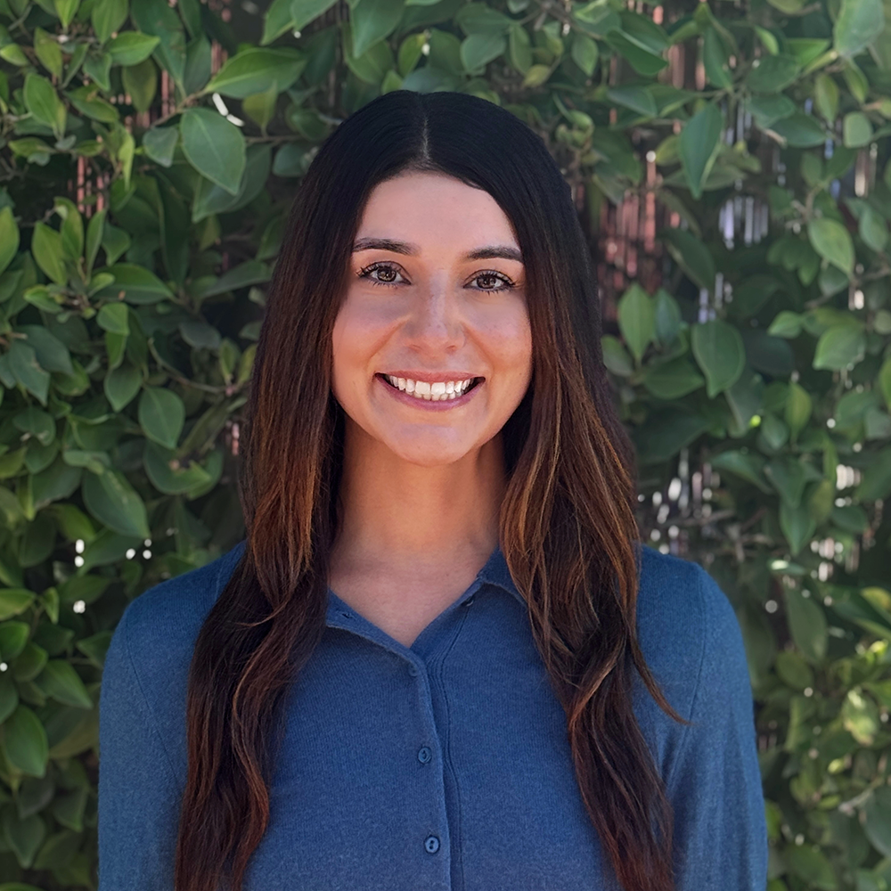 Mental Health Professional