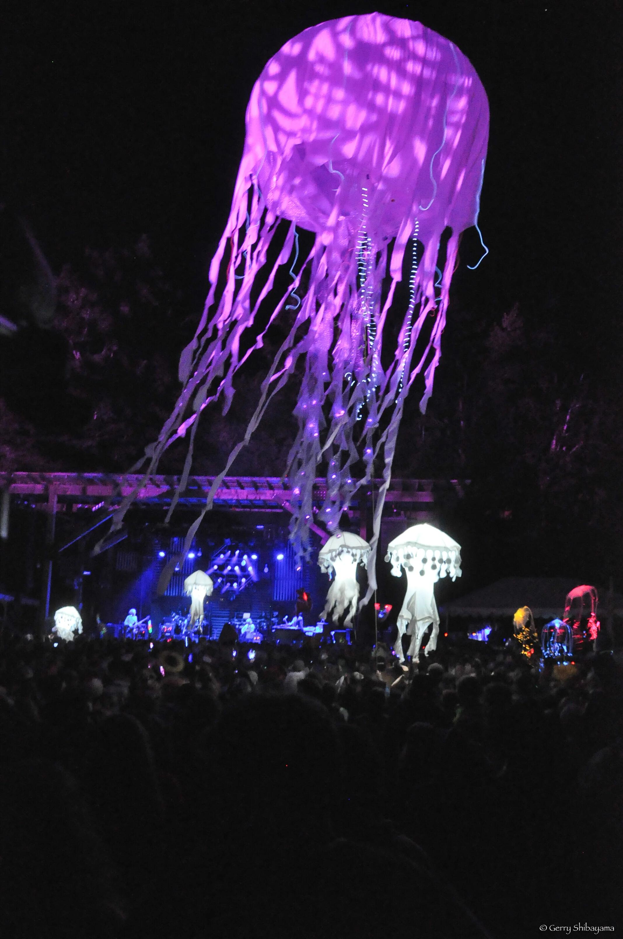 music-0681.jpg