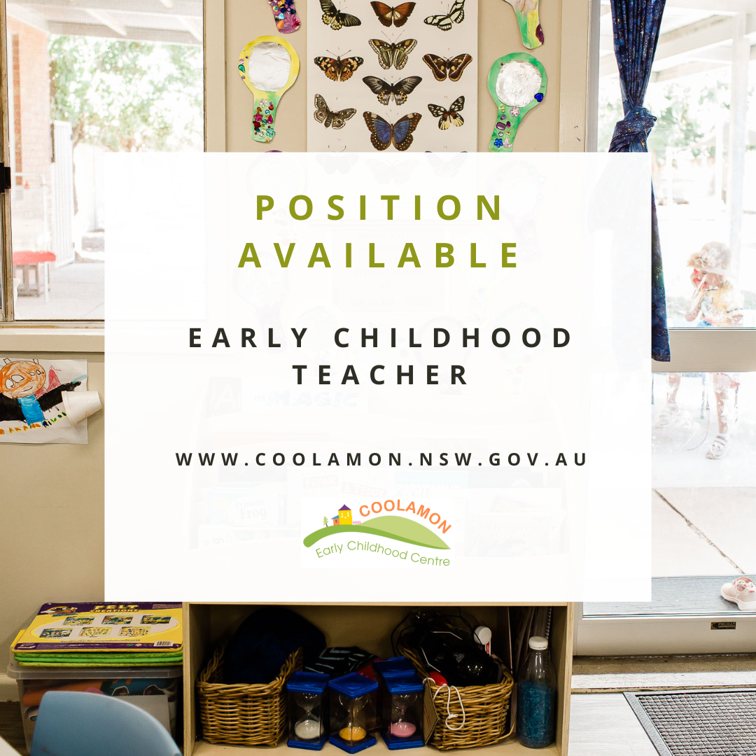 EARLY CHILDHOOD TEACHER 