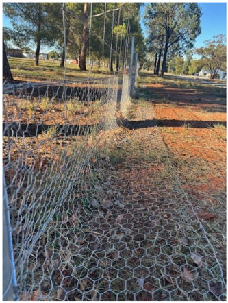 fence cricket 2.png