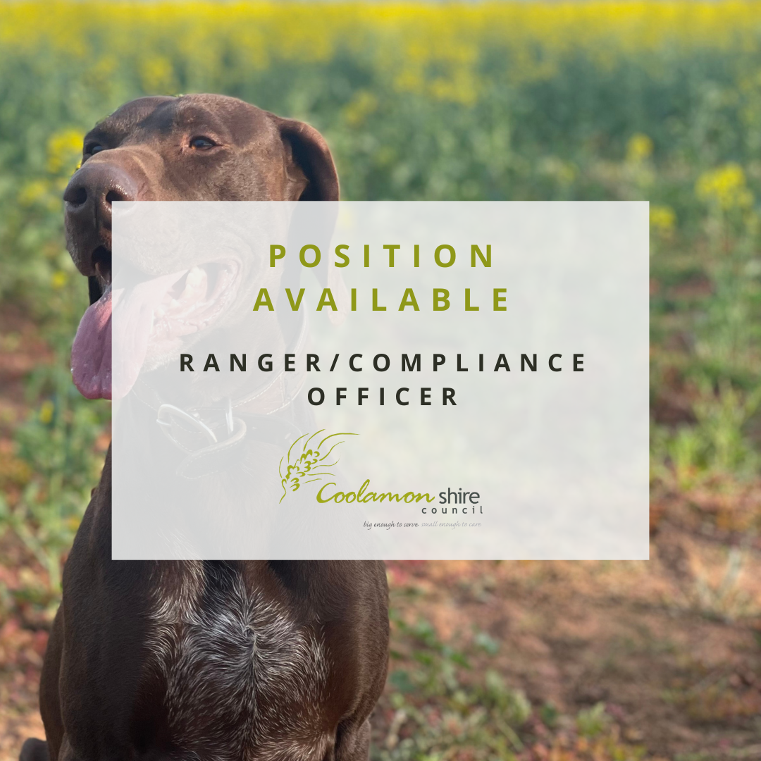 RANGER/COMPLIANCE OFFICER