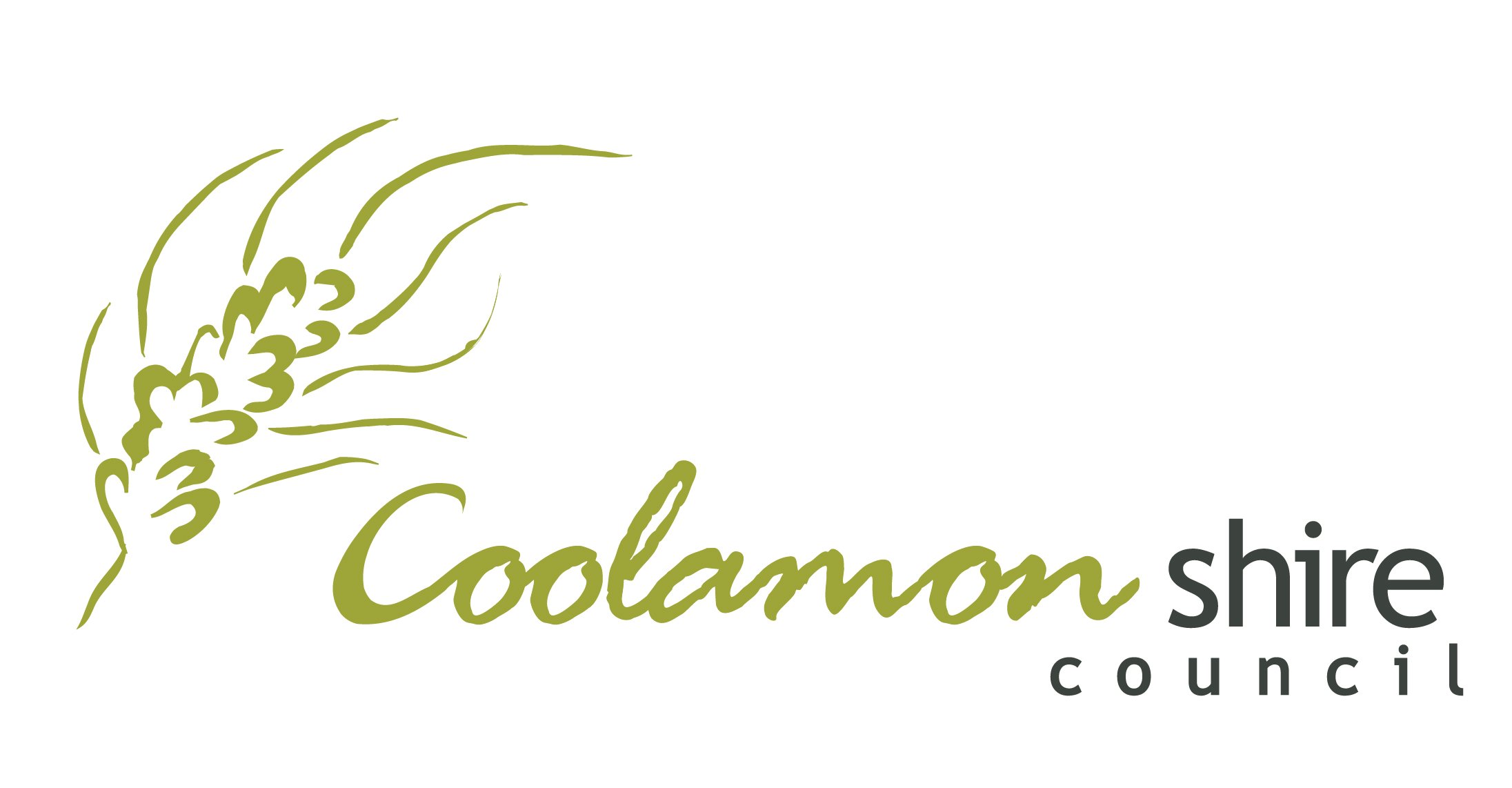 Draft Delivery Program 2022/2026 &amp; Operational Plan 2021/2022 inc Long Term Financial Plan