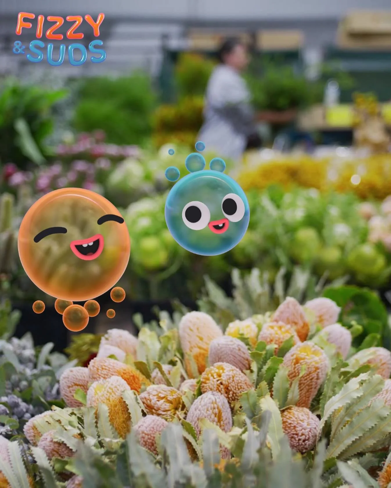 🌸✨ Fizzy &amp; Suds are back with brand new adventures &ndash; and this time, they&rsquo;re blooming into the world of Flowers 🌺🫧🌿

This episode was filmed amongst the most colourful blooms with the wonderful team at @sydneyflowermarket + @_pikt
