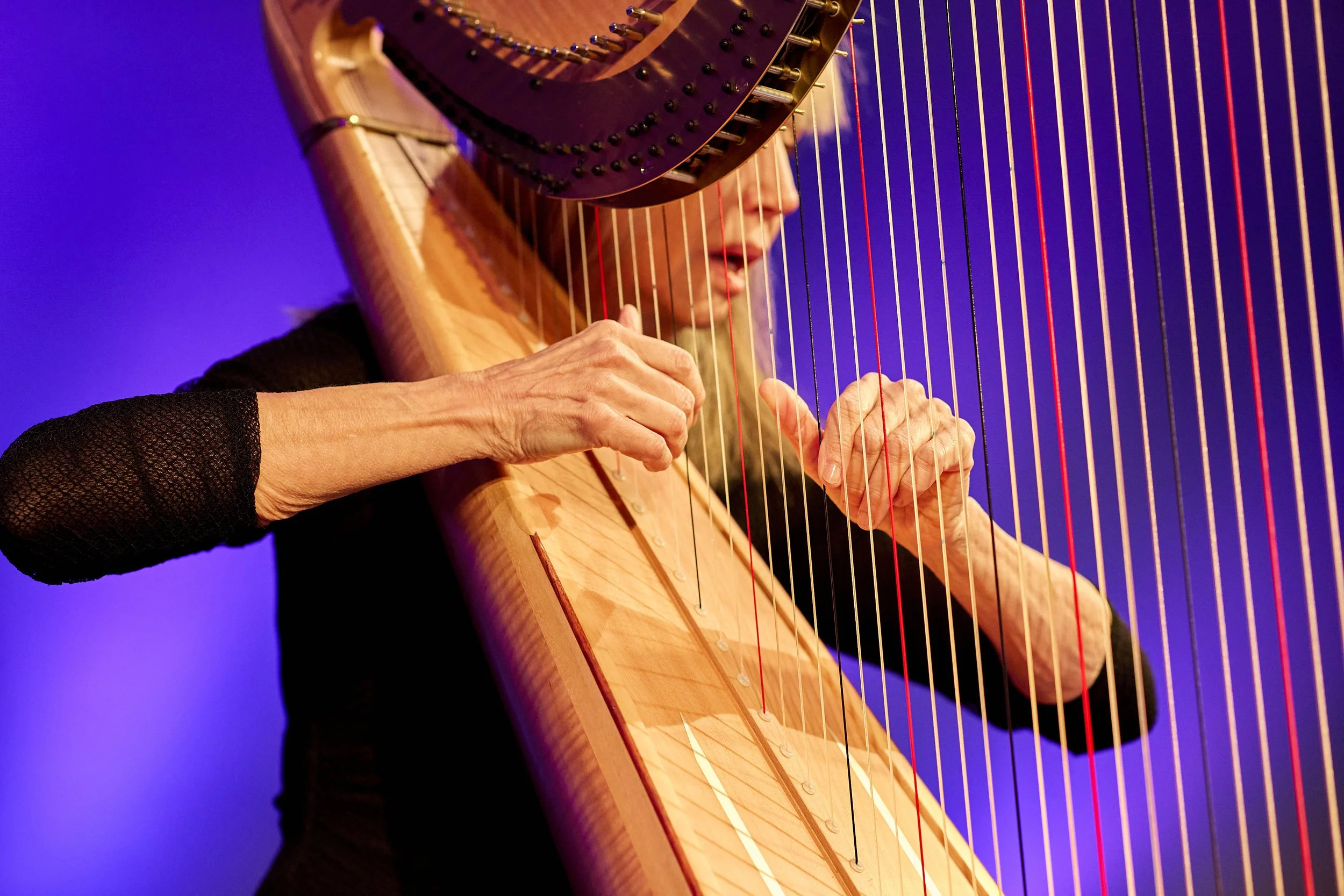 lou harp.jpg