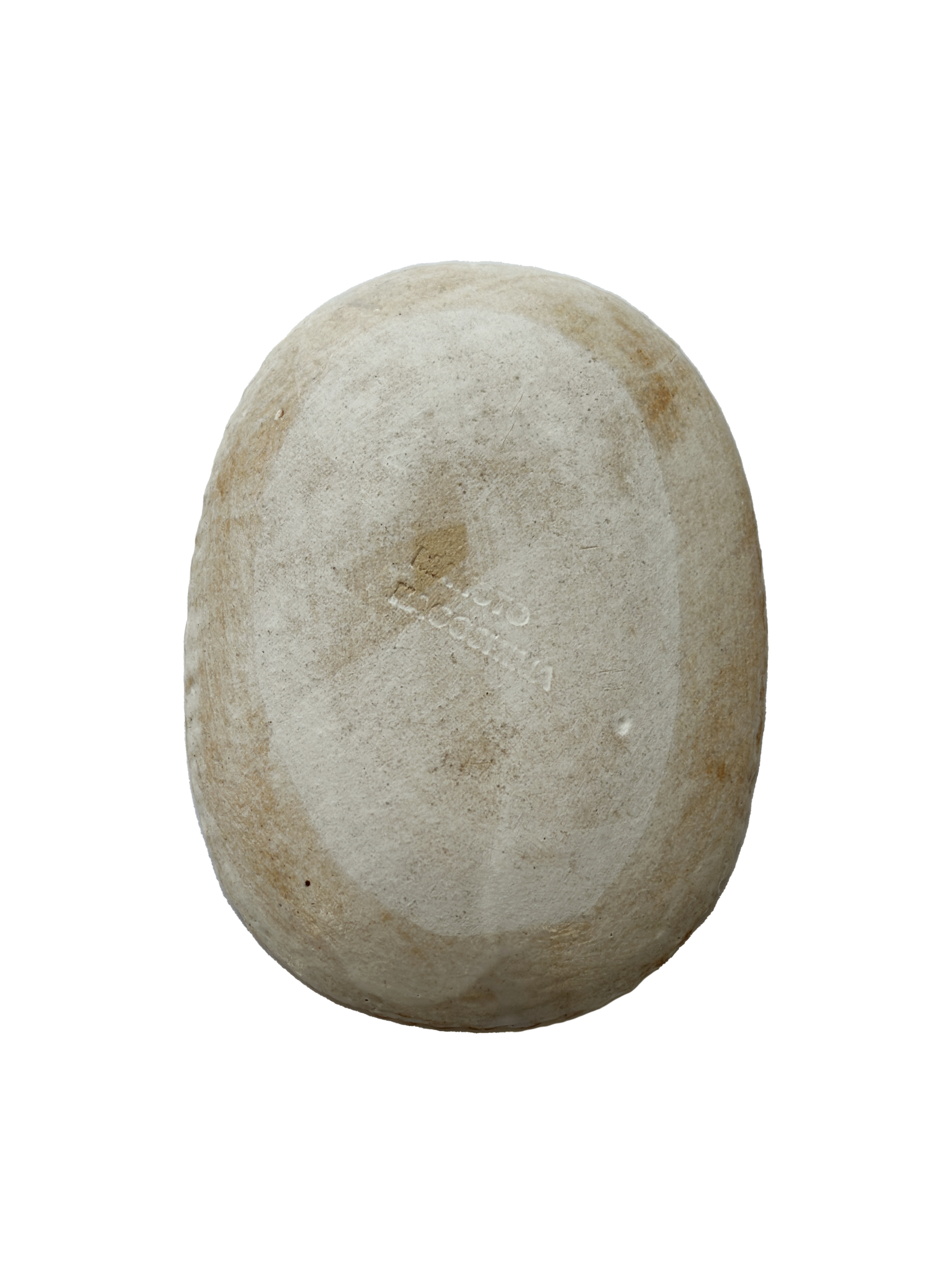 Makoto_7344.png