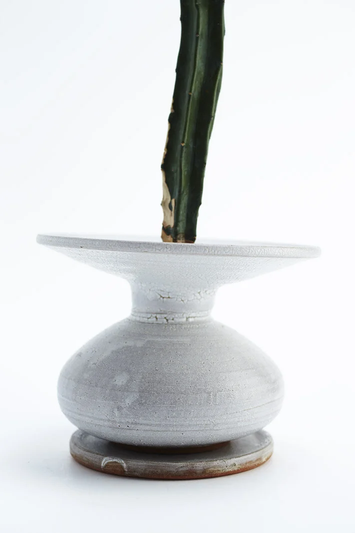 Chariots_on_Fire_Cactus_16.jpg