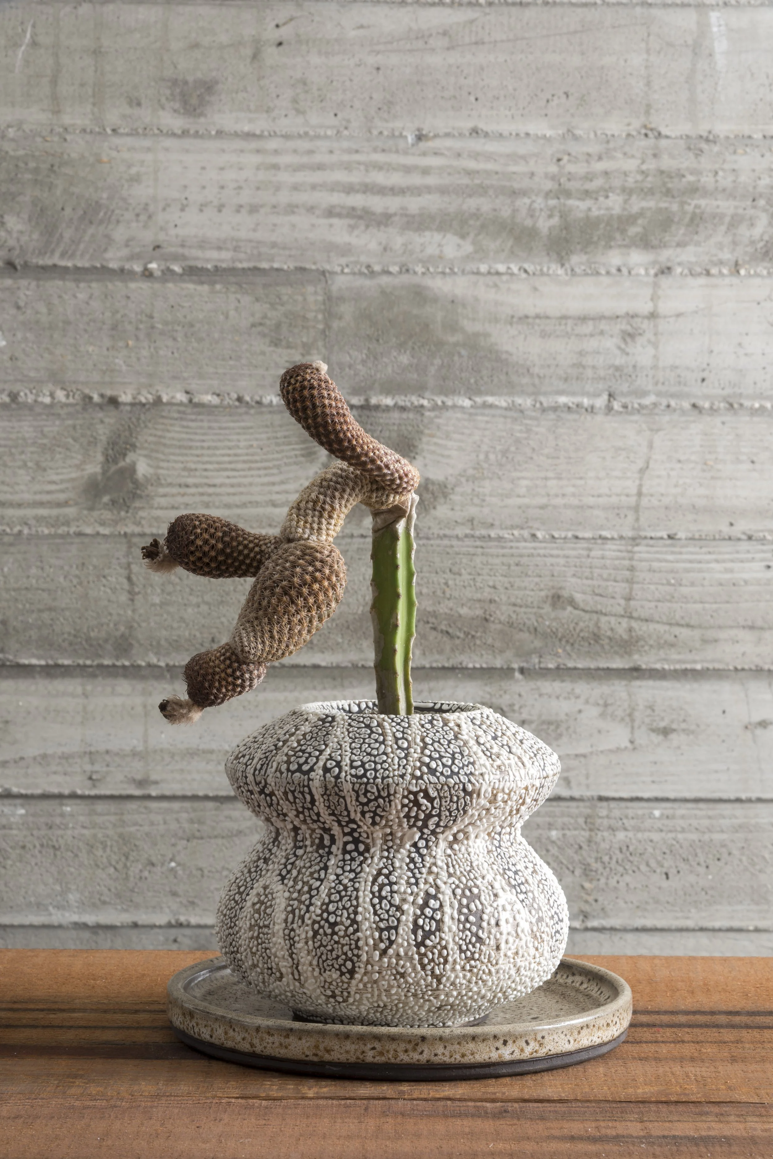 Tale of Plant & Pot_LA2.jpg
