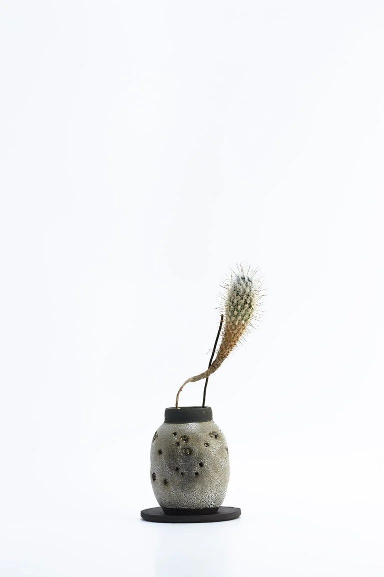 Chariots_on_Fire_Cactus_2.jpg