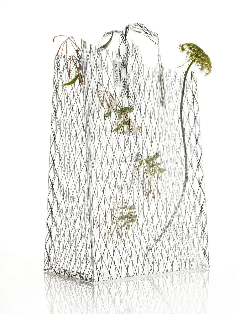 Clear_grocery_tote_bag.jpg
