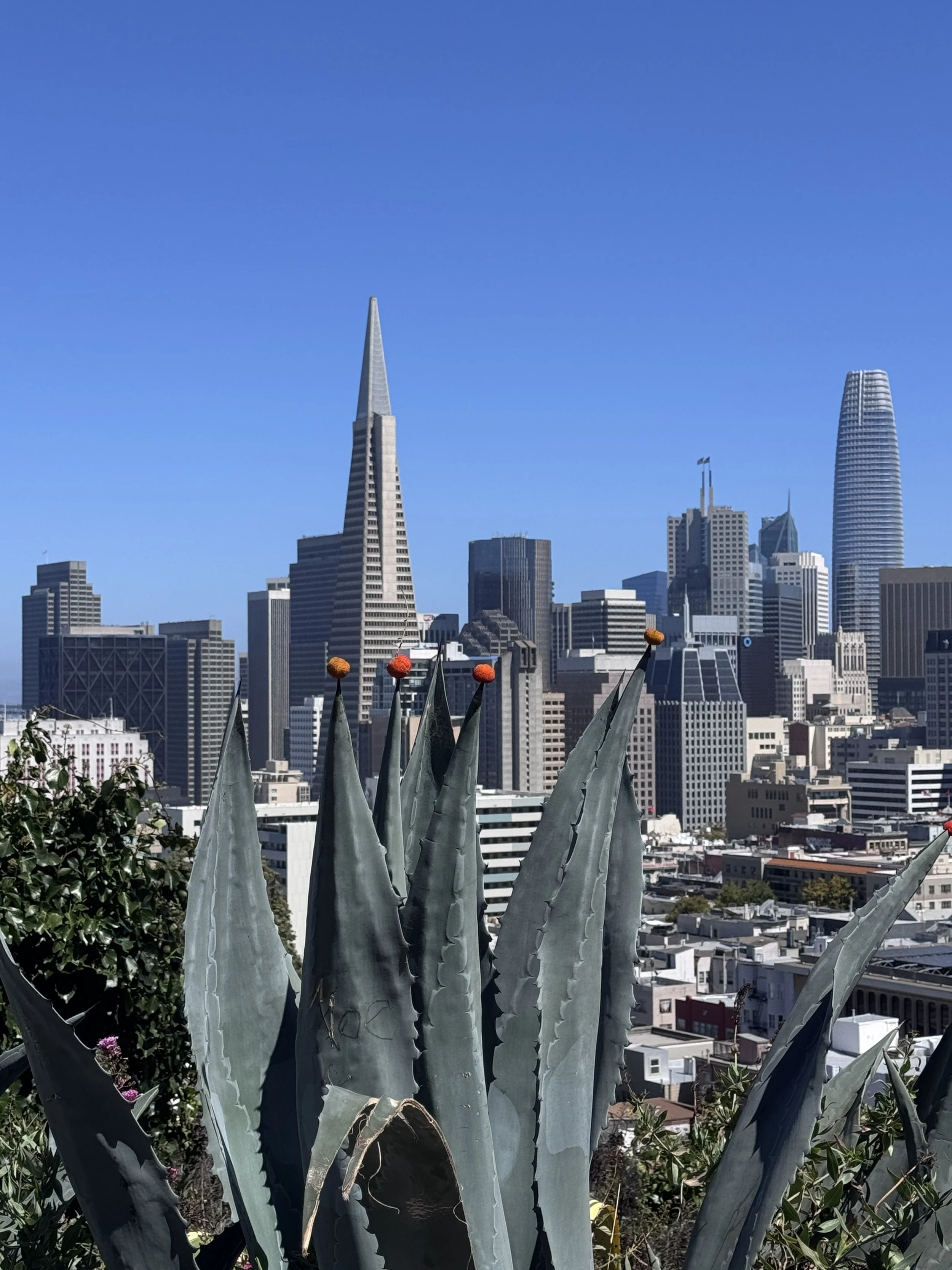 San Francisco_1659.JPG