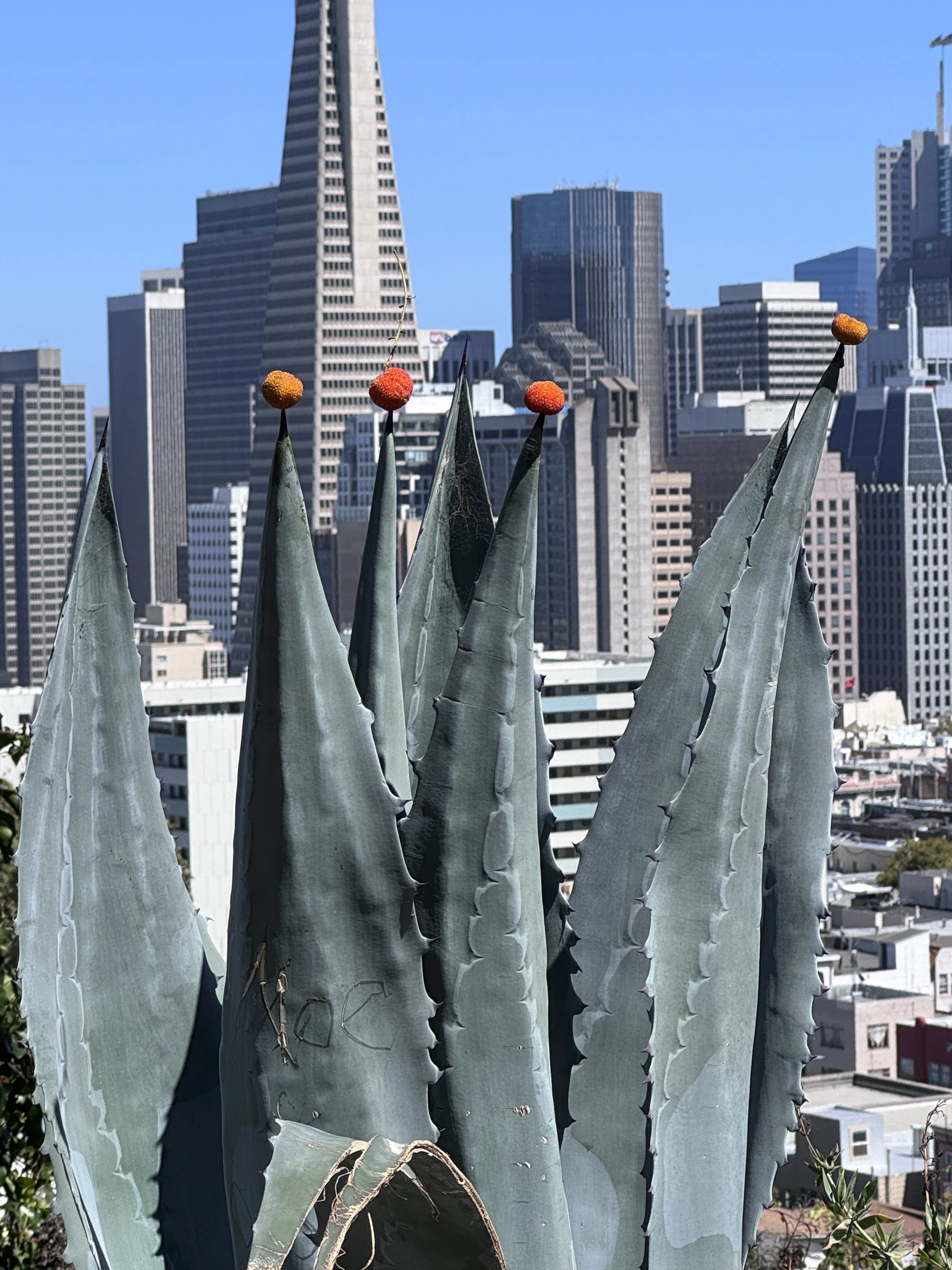 San Francisco_1660.JPG